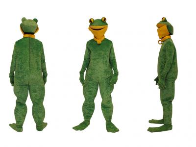 c351-frog2