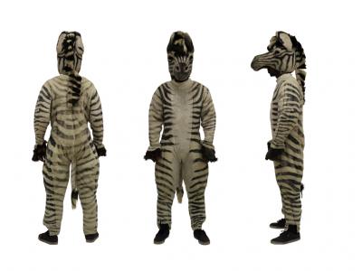 c373-zebra